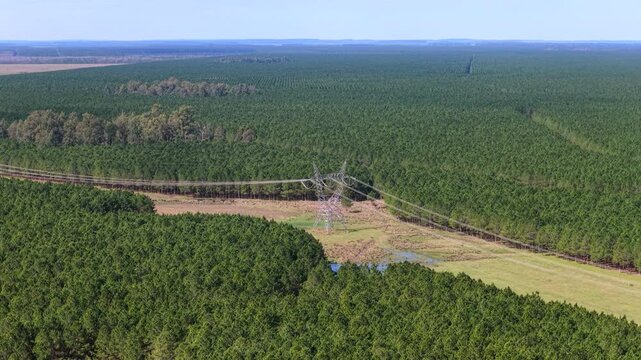 Power transmission lines cross a dense pine plantation in Corrientes, Argentina, with cleared service corridors and parallel tracks visible from an aerial perspective.