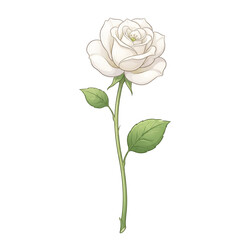 Obraz premium Beautiful white rose Flower Illustration – Soft Watercolor Floral Clipart for Wedding Design - white rose on white background