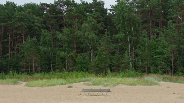 Elevated wide angle view depicts single bench placed on wide sandy beach bordered by tall green pine tree woodland under overcast sky in Jurmala seaside.