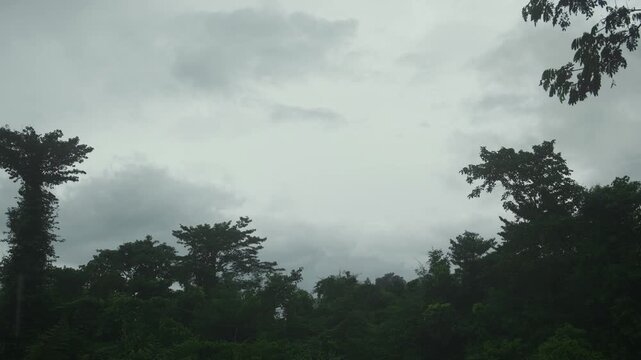 Dark cloudy sky with light rain and a brief lightning flash over forest tree silhouettes. Moody nature landscape background with copy space.