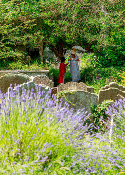 A couple dressed in period Victorian-style clothing walks through an overgrown cemetery, likely part of a historical reenactment or themed photo session, framed by vibrant lavender in the foreground.