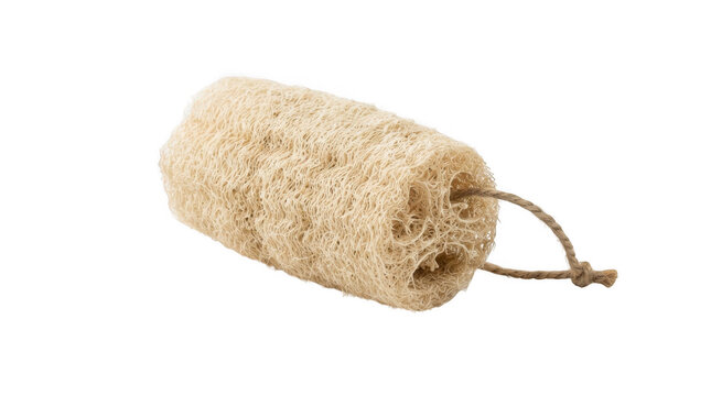 Natural loofah sponge with rope handle isolated on a clean transparent background for bath and body care