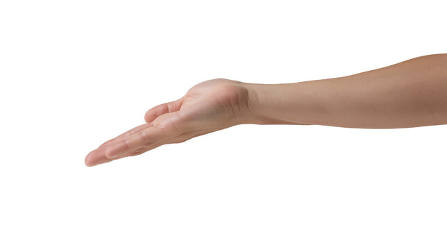 Open human hand palm facing up with extended fingers
