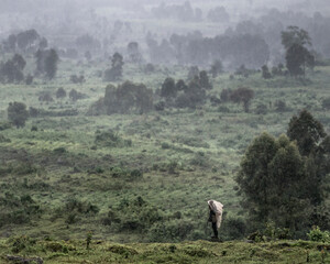 Naklejka premium Person walking in rain near to the Virunga national park