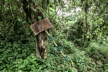 Naklejka premium Rusty sign in dense virunga forest vegetation