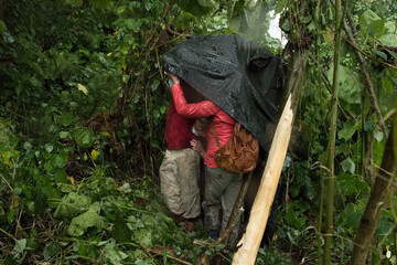 Naklejka premium Travelers sheltering from rain in jungle of virunga, drc