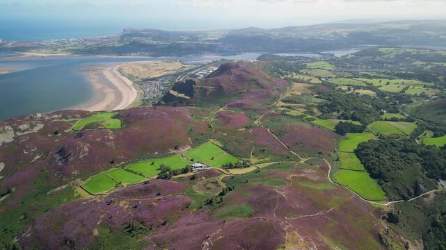 Hills above Conwy north Wales covered in heather on a bright summers day.