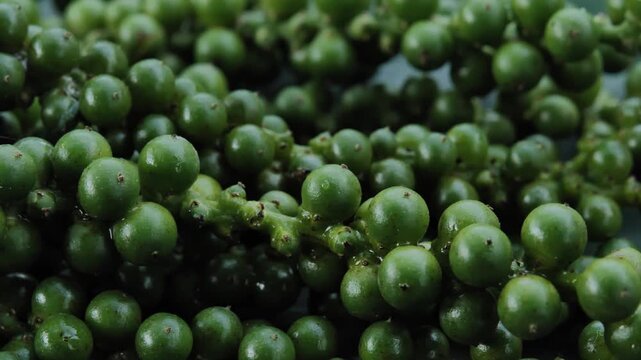 Fresh peppercorns from a farm	