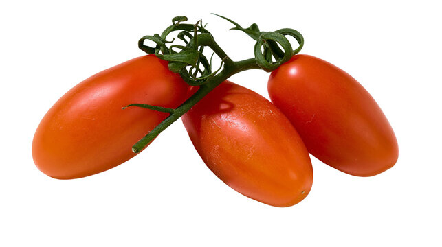 Three ripe red grape tomatoes on a green vine stem