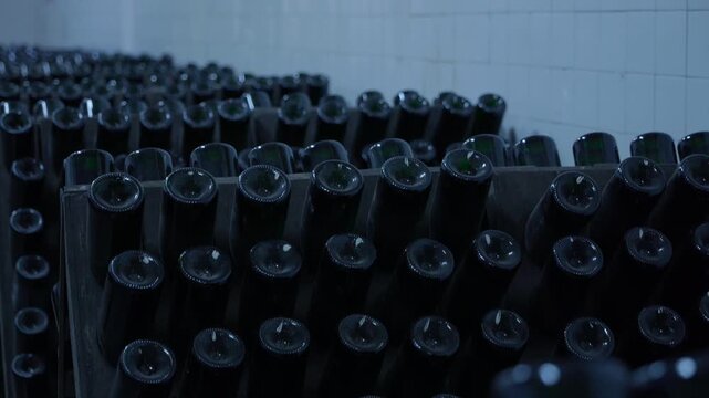 Wine bottles aging in a dark winery cellar. Numerous dusty wine bottles resting upside down in racks, undergoing the riddling process during secondary fermentation in a cool, dark underground cellar