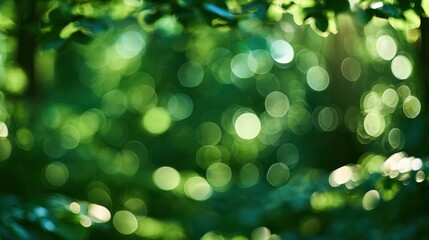 Fototapeta premium Green forest scene shows blurred natural light forming soft circles creating a dreamy atmosphere with plenty of space for text or design.