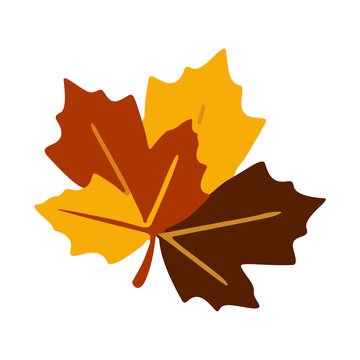 Autumn maple leaves vector illustration flat design style, brown yellow orange color foliage icon