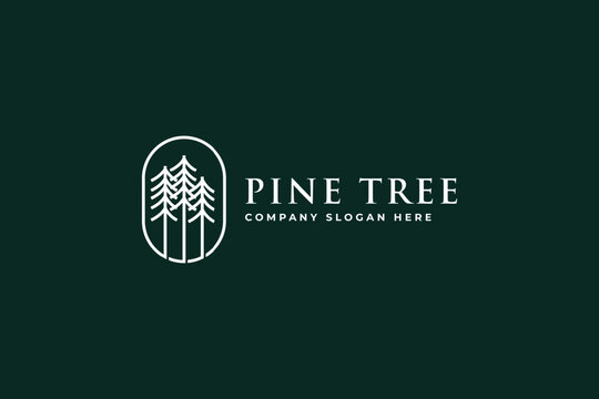 Pine tree logo design featuring minimalist evergreen forests inside an oval frame on dark green background with clean typography for branding identity