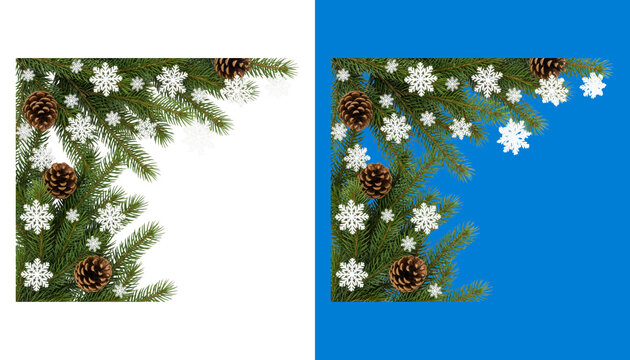 Christmas evergreen branch border isolated on transparent background