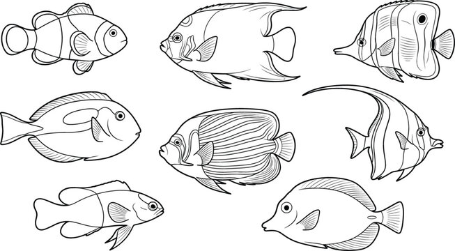 Vector set of tropical reef fish icons featuring clownfish angelfish tang butterflyfish and moorish idol line art