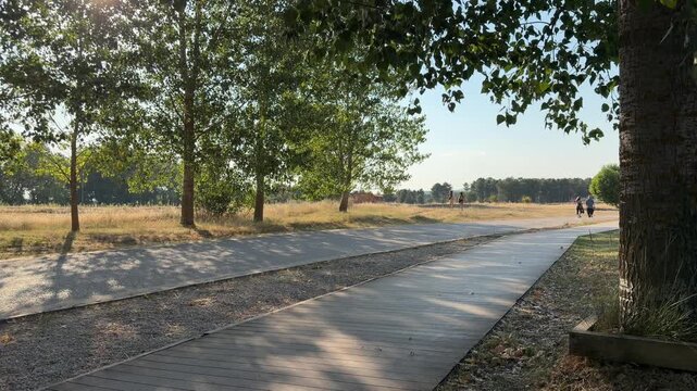 Unrecognizable people walking and jogging on a wooden boardwalk and a gravel path in a public park during a sunny summer afternoon