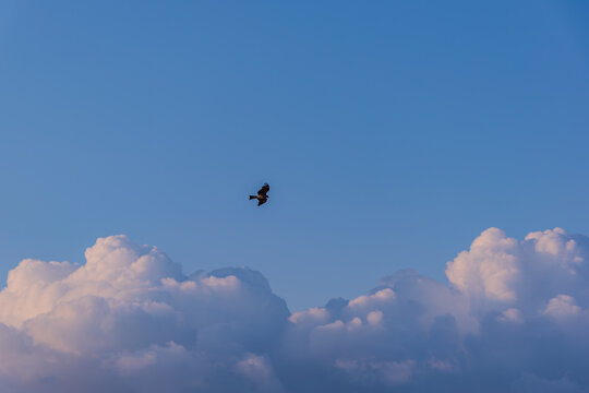 雲の上」の写真素材 | 88,964件の無料イラスト画像 | Adobe Stock