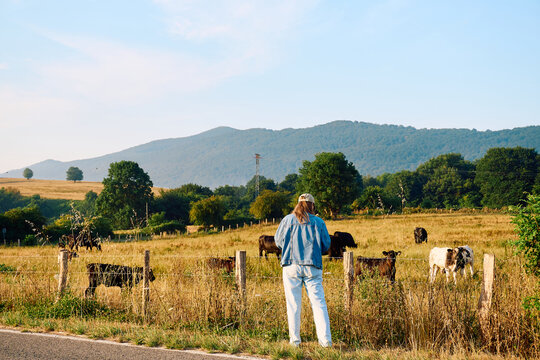 Scenic countryside view with a woman watching grazing herd
