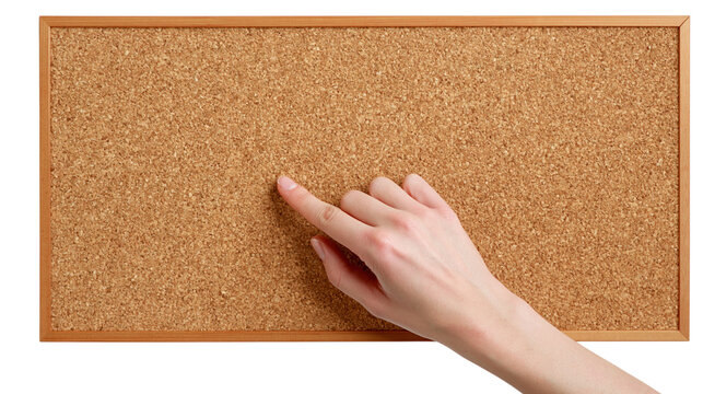 Human female hand pointing finger to brown wooden cork surface isolated on transparent background PNG element