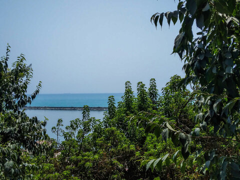 Lush green tree branches frame a peaceful blue sea view with a stone breakwater under a bright clear sky captured during a sunny summer day