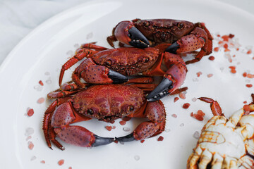 Fresh red crabs with sea salt crystals on a white plate showcasing premium seafood quality, gourmet dining, healthy nutrition and restaurant cuisine © svittlana