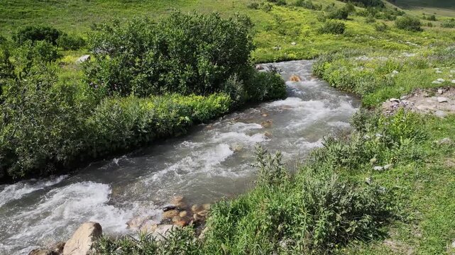 Fast mountain river flowing through lush green alpine meadows in Svaneti region, Georgia, crystal clear cold water stream, summer nature landscape, ecological conservation, wild outdoor environment