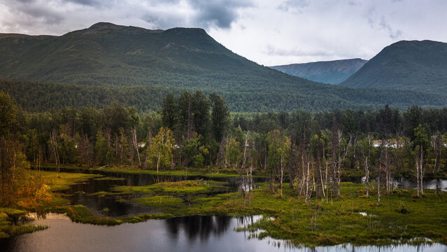 Alaska Hurricane Train wilderness travel landscape with mountains, birch and pine trees, and marshland pond at cloudy sunrise