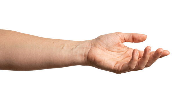 Open human hand palm up reaching forward for grasping something small and light in detailed realistic style on transparent background