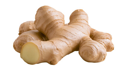 Fototapeta premium Fresh raw ginger root with a sliced cross section showing light yellow interior