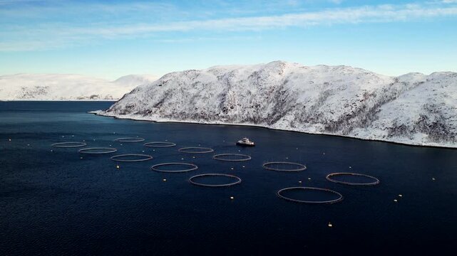 Aquaculture salmon farm in snowy Norway fjord, aerial view of net pens and barge