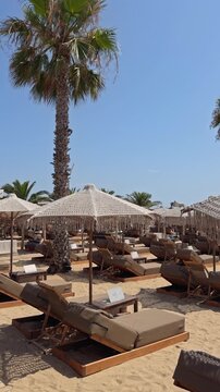 Tall palm trees rise beside a row of empty boho style beach cabanas with fringed straw canopies on a sunny beach