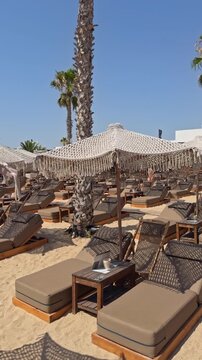 Symmetrical rows of wooden sun loungers with fringed macrame umbrellas and a tall palm tree at a peaceful beach resort