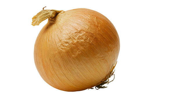 Whole raw yellow onion with dry papery skin and roots
