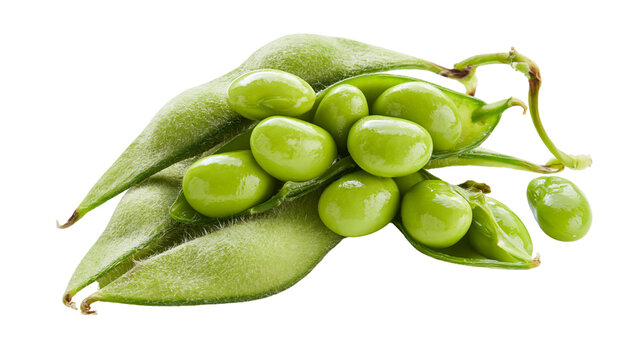 Fresh green edamame soybeans in pods with visible beans