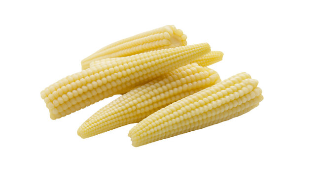 Fresh raw baby corn cobs stacked together