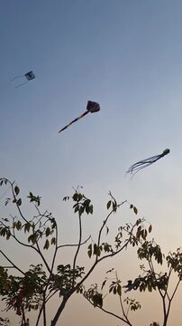 A low-angle shot captures vibrant, large inflatable kites shaped like octopuses and squids flying against a clear, bright sky during an outdoor kite festival.