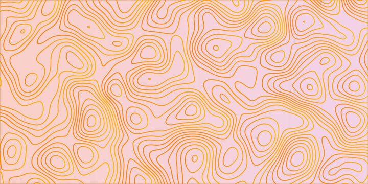 Minimal area topography spiral line white background. landscape black line wireframe location diagram world map texture design.	
