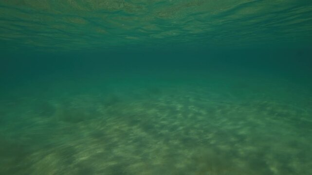 Turquoise water flows above a rippled sandy seabed in a clear shallow underwater environment, pulsing flow of natural currents and ebbs in water