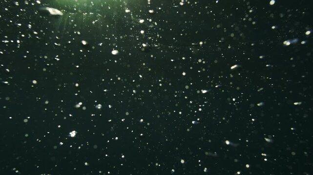 Countless bright bubbles drift through dark green water in a softly lit underwater environment, stunning beautiful abstract water glow