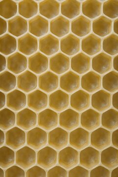 Close up of natural beeswax honeycomb hexagonal cells grid structure for beekeeping honey production industry