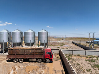 red truck parked next to grain silos at agricultural facility © zhu difeng