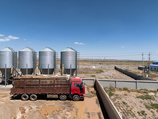 red truck parked next to grain silos at agricultural facility © zhu difeng