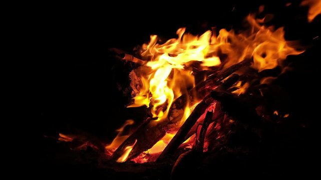 Flickering campfire flames and glowing logs burning at night. A warm campfire burns brightly in the darkness, with flames flickering around natural wooden logs. 