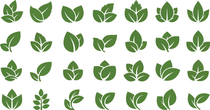 Green leaf icons set, flat organic foliage symbols, 28 natural plant vector elements for eco-friendly branding and logo design