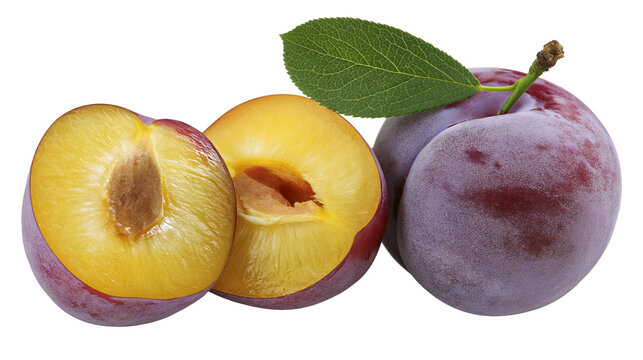 Whole and sliced ripe purple plums with green leaf and brown pit