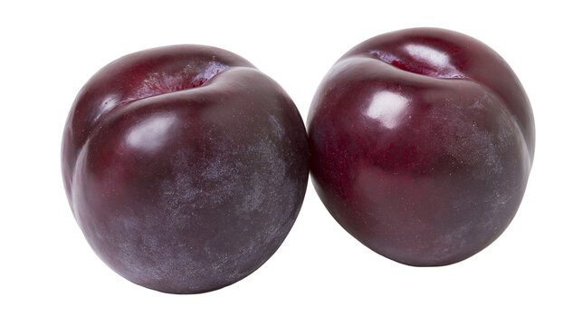 Two ripe dark purple plums with smooth skin and natural waxy bloom