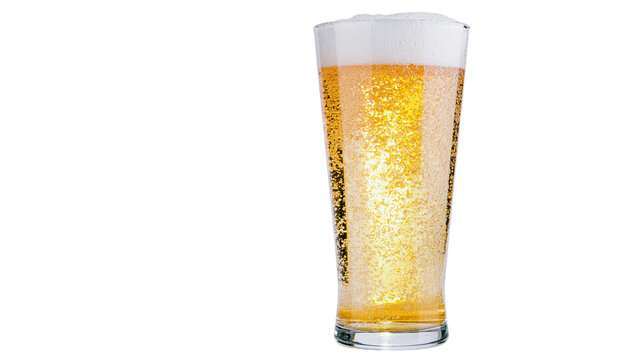 Refreshing golden lager beer in a tall glass with thick white foam head