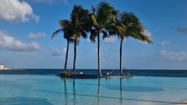 Infinity Swimming Pool With Palms and Caribbean Sea Horizon, Luxury Tropical Travel Destination