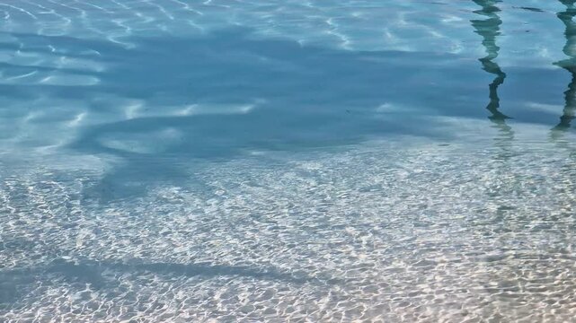 Shadows of Palm Trees on Turquoise Pool Water, Exotic Tropical Vacation Destination