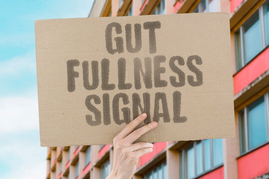 "Gut fullness signal" Intestinal stretch and hormones create satiety. GUT. FULLNESS. SIGNAL. SATIETY. STRETCH.